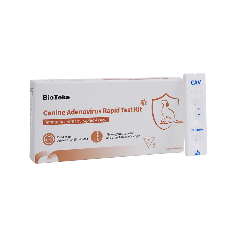 Kit di test rapido adenovirus (Cav) canino (test immunocromatografico) ICA2301-5