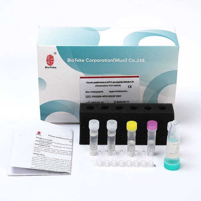 Kit di rilevamento della genotipizzazione del papillomavirus umano (HPV) (metodo PCR di fluorescenza)