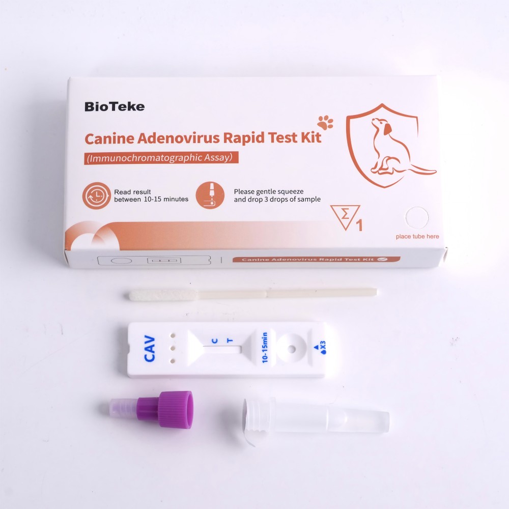 kit di test di test di adenovirus canino 