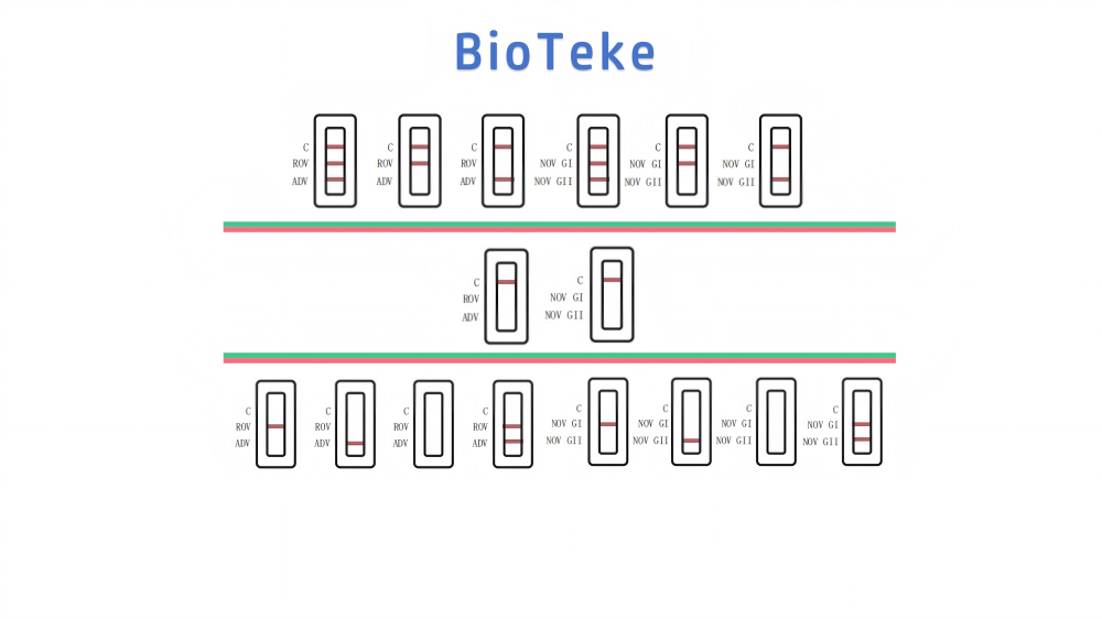 Risultati del test del virus della rota adeno noro