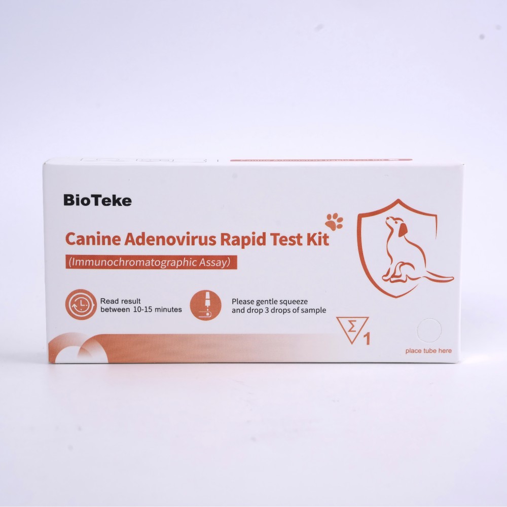 Kit di test di test adenovirus canino 