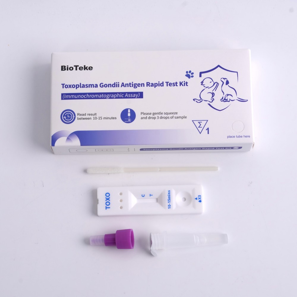 Kit di test Gondii Toxoplasma Gondii 