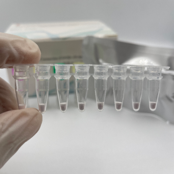 laboratorio di pcr istantaneo Kit di acido nucleico liofilizzato
