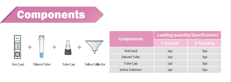 componenti del test hcg