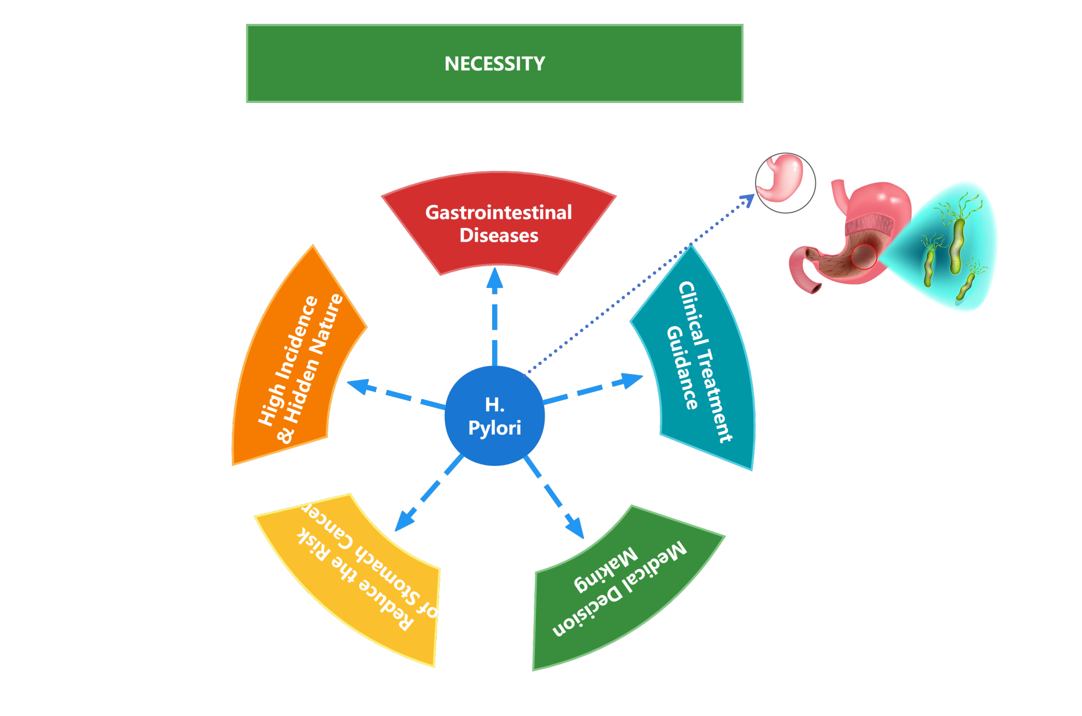 Kit per test rapido H. Pylori