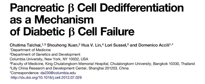 Teoria della dormienza delle cellule β