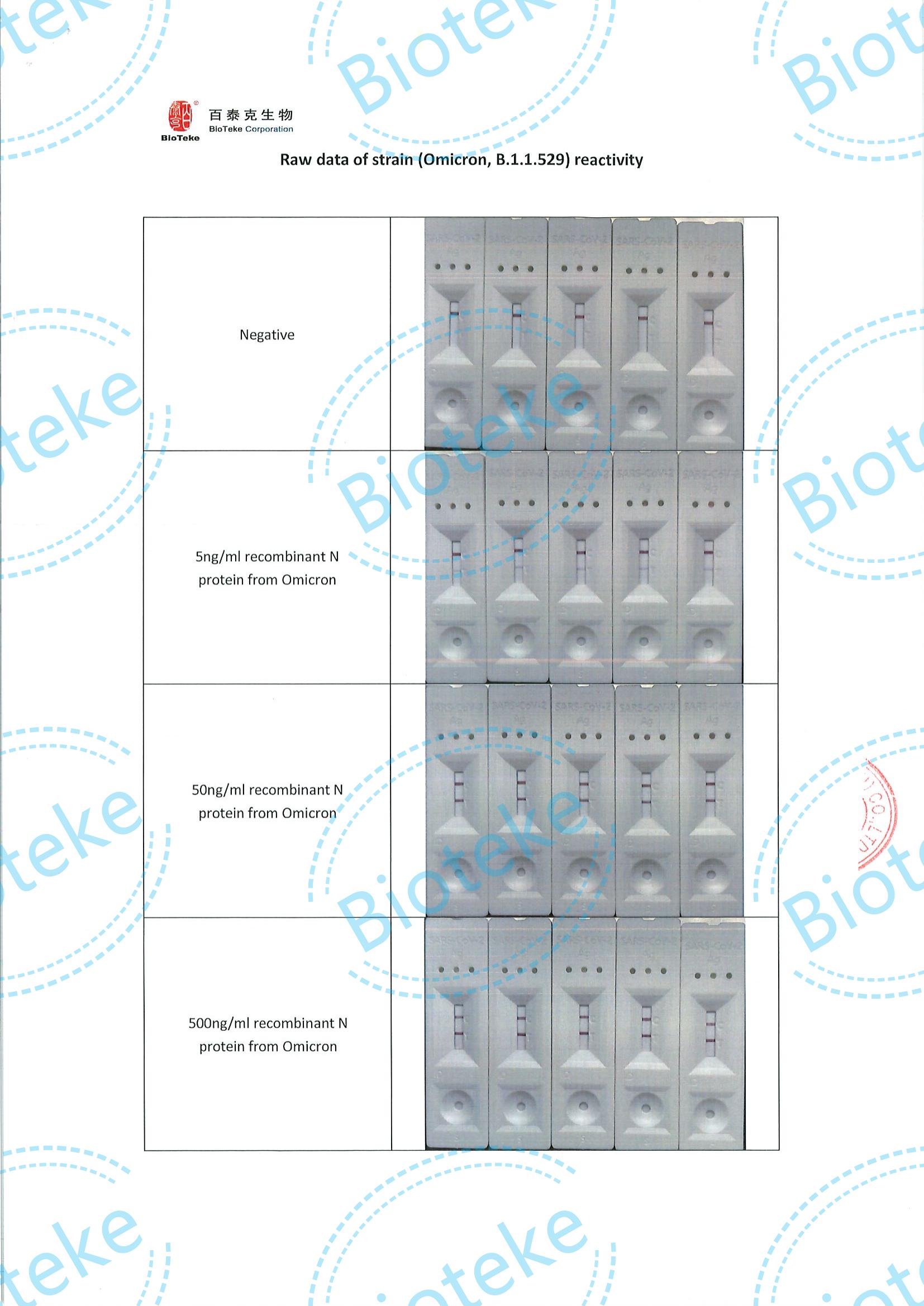 BIOTEKE_SARS-COV-2 Antigen IVD Kit ANTITERIAL Test nasale Valutazione del ceppo (Omicron) Reattività_03