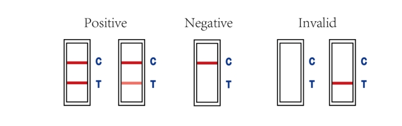 Interpretazione dei risultati dei test