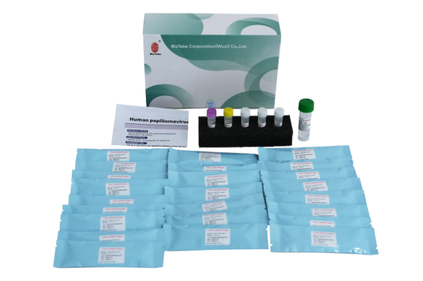 Kit di rilevamento della genotipizzazione HPV di papillomavirus umano (metodo PCR fluorescenza) 