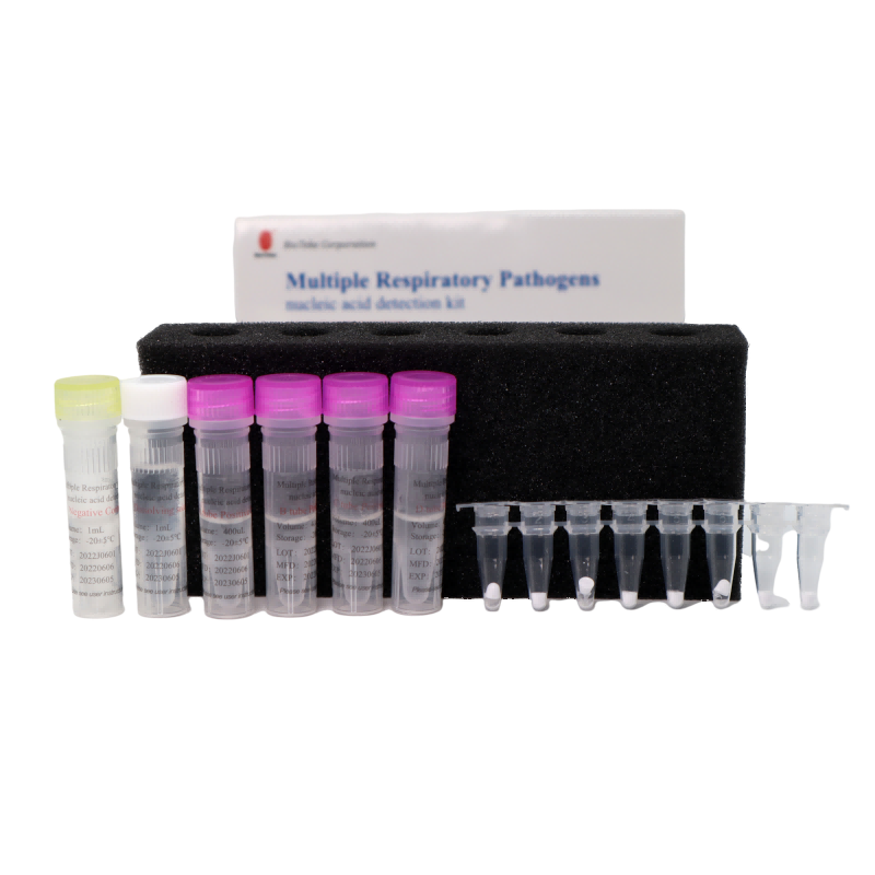 Bioteke kit di rilevamento di acido nucleico multiplo patogeni (metodo PCR fluorescenza)