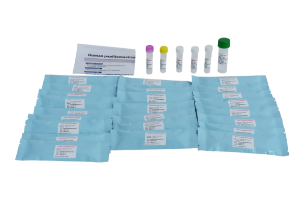 Kit di rilevamento di genotipizzazione del papillomavirus umano (HPV) PR2026-HP01 (Metodo PCR a fluorescenza)