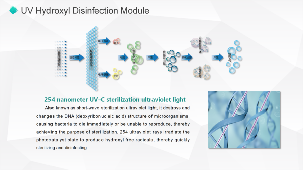 Sterilizzazione idrossile UV a doppia banda