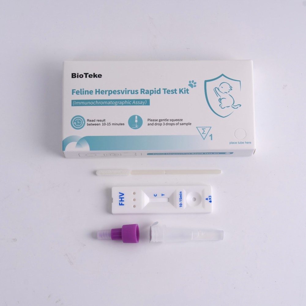 kit test herpesvirus felino